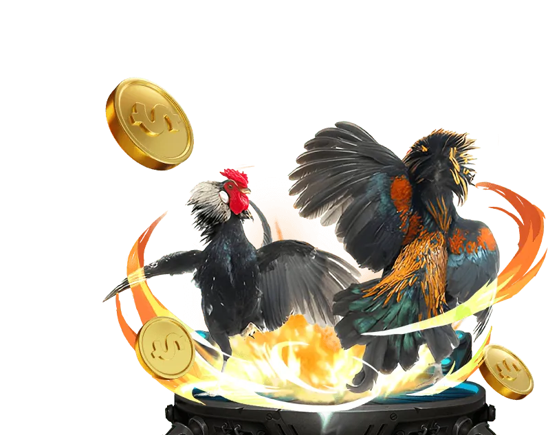 Mẹo và chiến lược cược đá gà